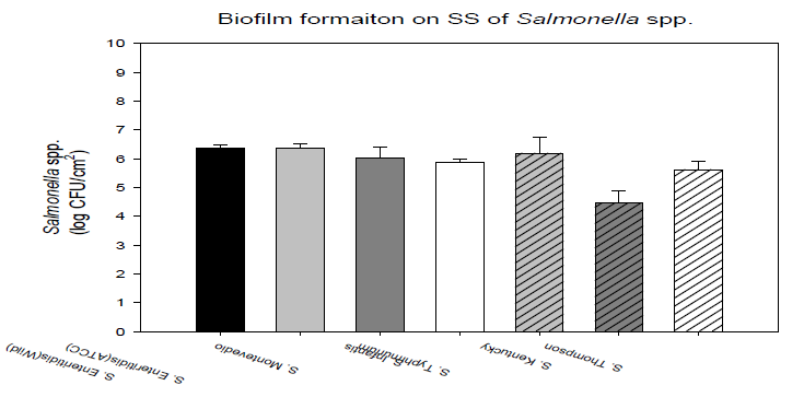 Checking biofilm formation ability using stainless steel after 24h