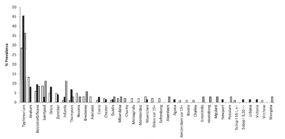 2013년도 호주 육우(open columns), 젖소(solid columns), 송아지의 분변샘플 내 살모넬라 균주 분포도(출처: J Food Prot 2015, 78(5):912-920)