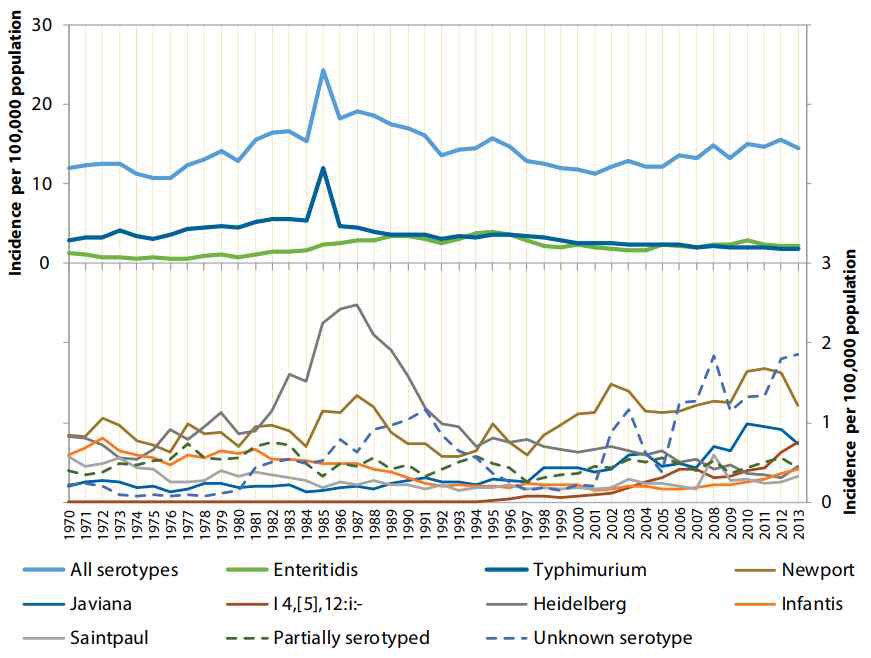 1970-2013년 살모넬라증 발병빈도 및 검출 균주 분포 (출처: Centers for Disease Control and Prevention (CDC). National Salmonella Surveillance Annual Report, 2013. Atlanta, Georgia: US Department of Health and Human Services, CDC, 2016)