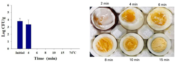 식용란의 삶기 조리를 통한 살모넬라균 변화와 조리 시간에 따른 식용란 내부 변화