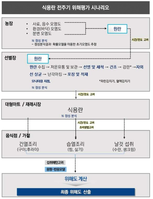 식용란에 대한 전주기 위해평가 시나리오