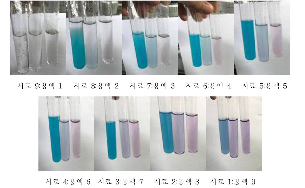 Cobalt assay에서 시료와 용액의 비율에 따른 색 변화