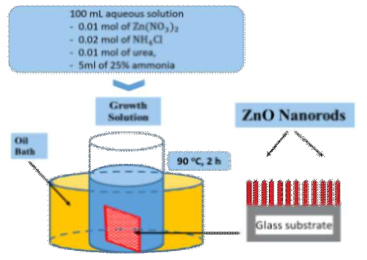 Continuous chemical growth 법을 이용한 ZnO 나노로드 수직성장