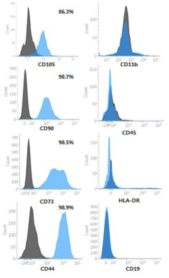 골수유래 중간엽줄기세포의 유세포 분석