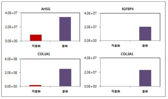 프로테오믹스 분석을 통한 조골세포 분화시 근골격계 발달과 관련된 단백질의 발현량 비교결과