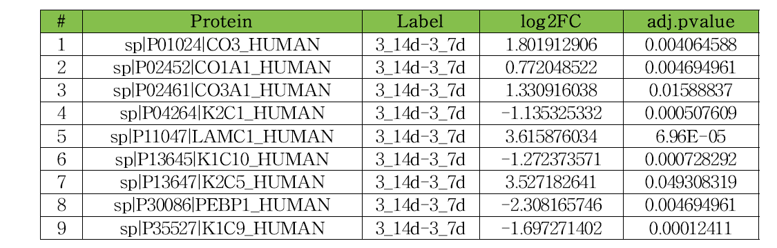 3차 분화7일차 와 분화 14일차 시료의 비교분석 결과