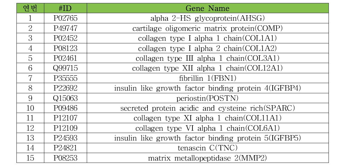 골격계와 관련된 15가지 단백질 목록
