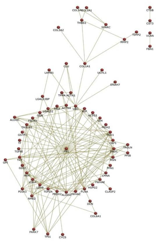 공통단백질 93개의 Interaction diagram