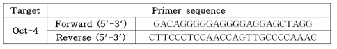 Oct-4 primer sequence
