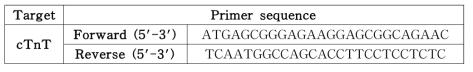 cTnT primer sequence