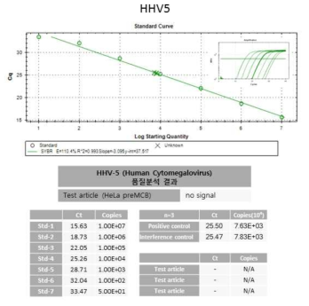 RT-PCR 기반 HHV5 부정시험 결과