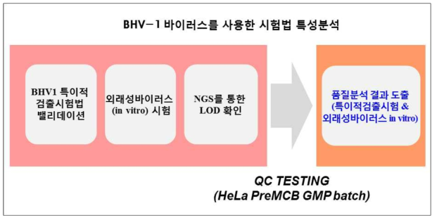 BHV-1 바이러스를 사용한 시험법 특성분석