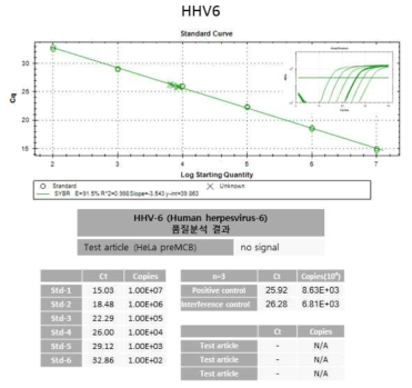 RT-PCR 기반 HHV6 부정시험 결과
