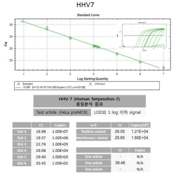 RT-PCR 기반 HHV7 부정시험 결과