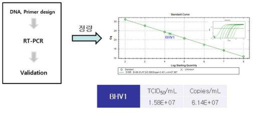 BHV-1 특이적 RT-PCR기반 검출시험법 특성분석