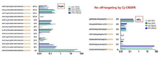[VEGFa/HIF1a 타겟 CjCas9의 long-term in vivo off-target 검증] - 출처: Toolgen_wetAMD_Mol Ther 2018