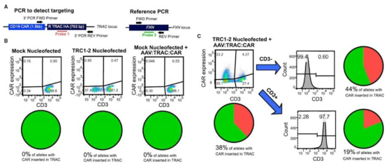 TCR allele로의 CAR 도입을 ddPCR로 분석 (출처: MacLeod et al. Molecular Therapy 2017)