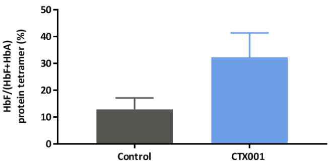CTX001 교정에 의한 HbF 단백질 tetramer 확인 (출처: CRISPR Therapeutics)