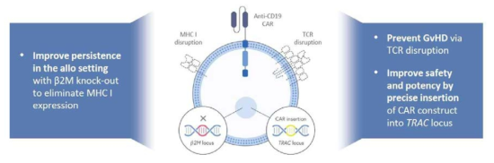 CTX110 전략 (출처: CRISPR Therapeutics)