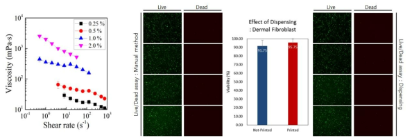 원활한 디스펜싱을 위한 viscosity 탐색(좌), fibroblast 함유 collagen의 디스펜싱 전/후 생존성 (우)