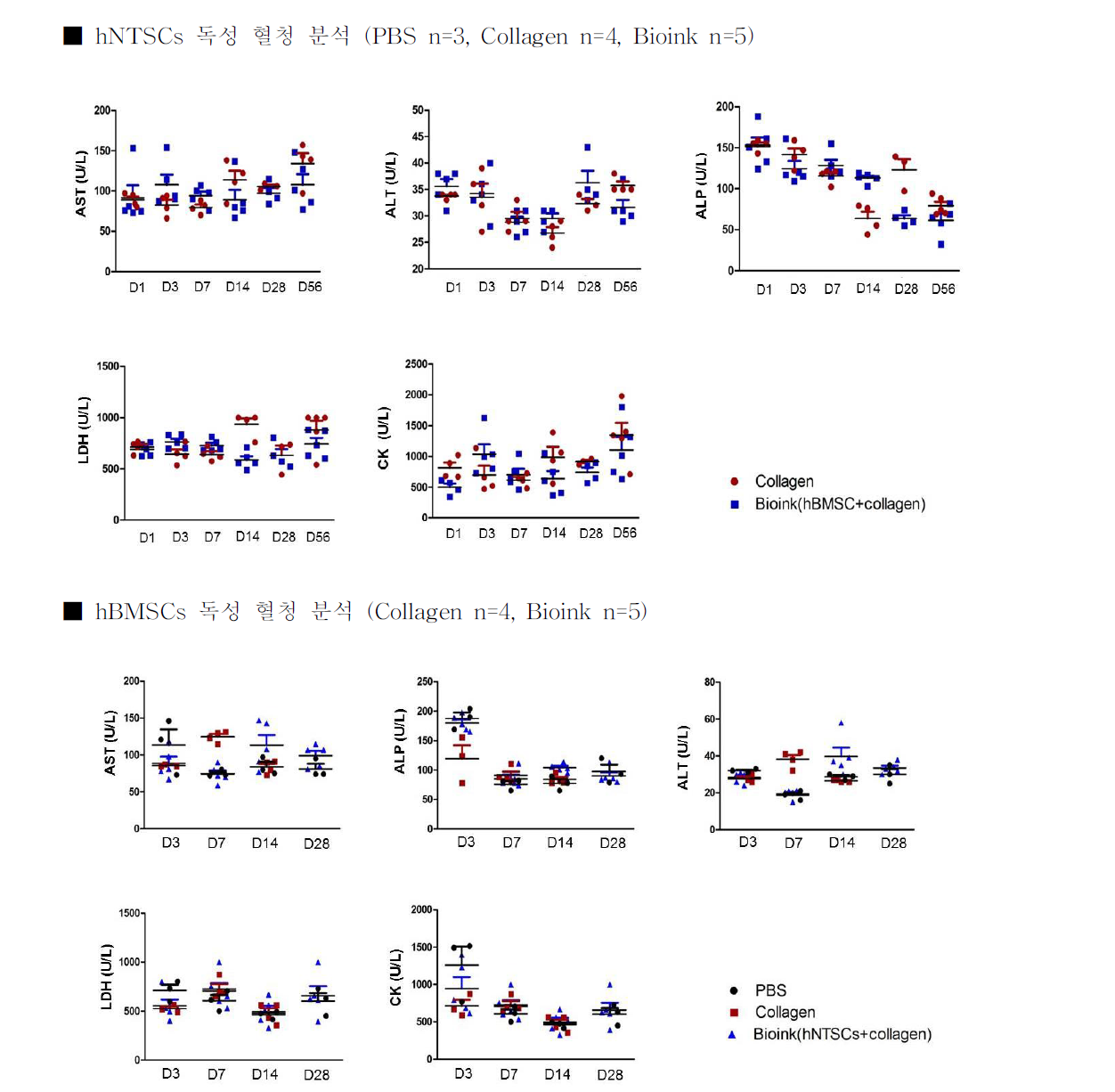hNTSCs (위) 또는 hBMSCs (아래)를 포함하는 바이오잉크의 체내 독성 혈청 분석