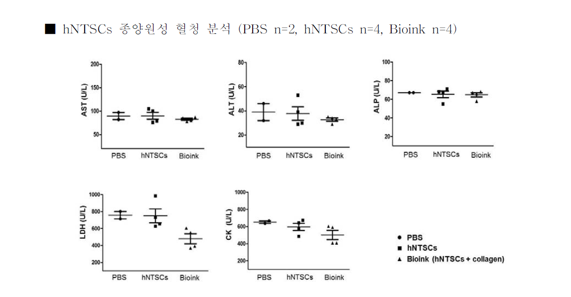 hNTSCs를 포함하는 바이오잉크의 체내 종양원성 혈청 분석