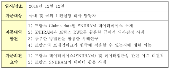 영국, 한국 IQVIA 담당자 컨설팅 및 회의 요약