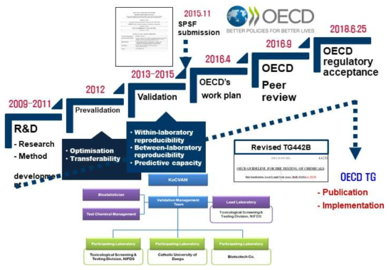 유세포분석을 이용한 피부감작성 시험(LLNA:BrdU-FCM) OECD 시험법 가이드라인(OECD TG442B 개정) 채택 진행 과정