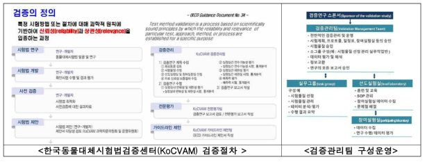 동물대체시험법 검증연구 안내서 발간