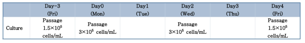 세포배양 일정 예시