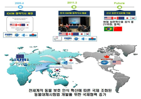 동물대체시험법에 대한 국제 동향