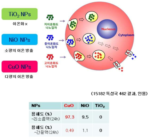 세포 리소좀액에서의 용해도에 따른 나노물질의 분류