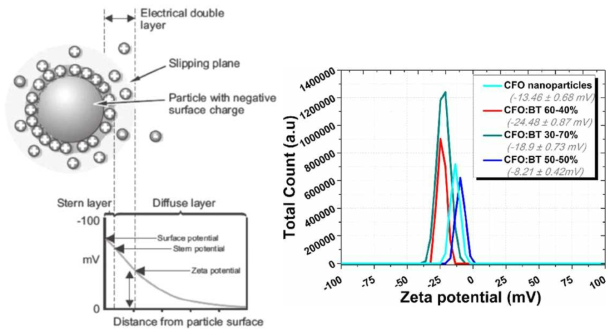 전기이중층(electrical double layer)이론 및 zeta potential의 측정 예시