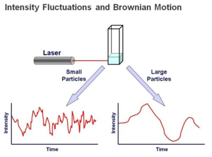 입자의 브라운 운동을 이용한 입자의 입경 분석방법, DLS