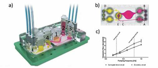 Multi-organ-chip의 구조, 각각 장기를 모사한 cell의 위치 및 pump 흐름의 양