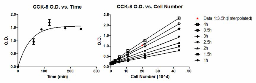 시간에 따른 CCK-8 O.D. saturation & 시간 별 세포수 및 O.D