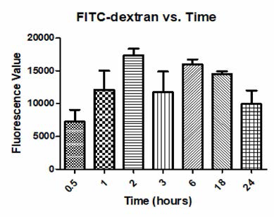 Incubation 시간에 따른 FITC-dextran Fluorescence Value