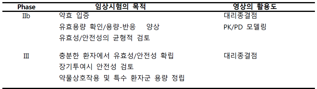 후기 임상시험에서 영상의 활용