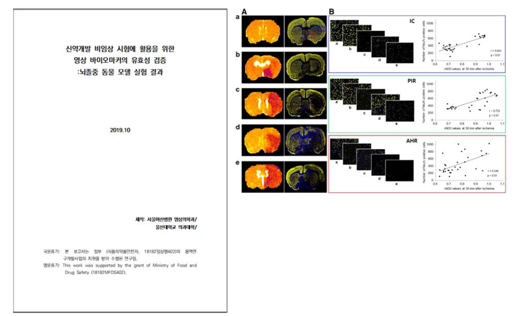 비임상 뇌졸중 동물모델 실험결과를 통한 영상 바이오마커의 유효성 검증