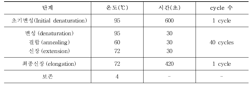 PCR 반응 조건