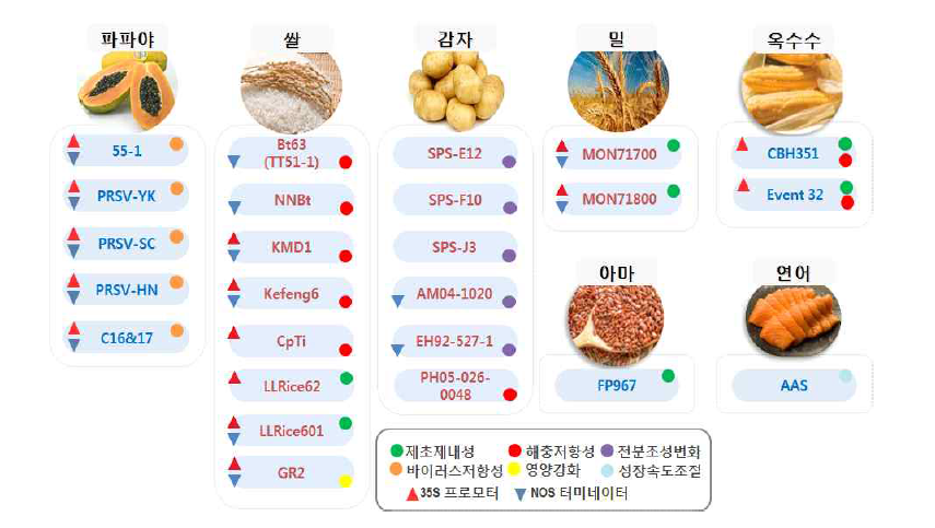 미승인 유전자변형식품 시험법 확립 현황