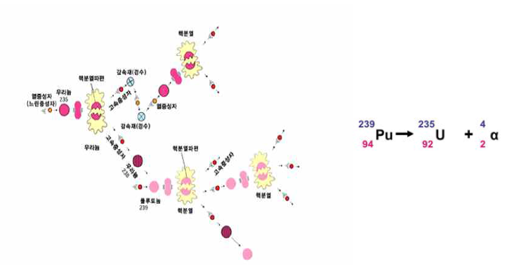 239Pu의 붕괴도