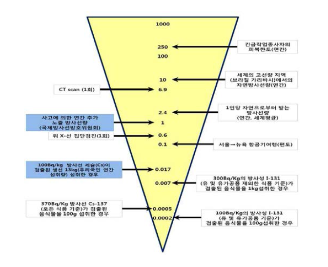 방사선 노출경로에 따른 유효선량(mSv) 비교