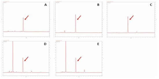 Chromatograms of five samples at a spiking level of 50 ppm. (A) Coffee, (B) Beverage(Soft drink), (C) Candy, (D) Chocolate, (E) Cocoa products