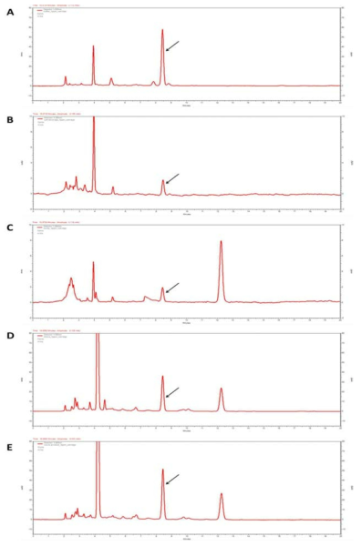 Chromatograms of five samples at a spiking level of 1 ppm. (A) Coffee, (B) Beverage(Soft drink), (C) Candy, (D) Chocolate, (E) Cocoa products