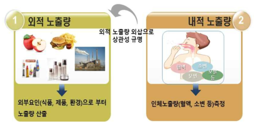 인체바이오모니터링을 통한 체내 총 노출량 추정