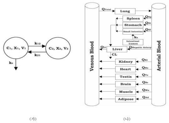 (가) Compartment 모델과 (나) PBPK 모델 도식(참고, 식약처 14162위해분703)