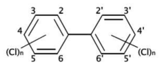 Polychlorinated biphenyls(PCBs)