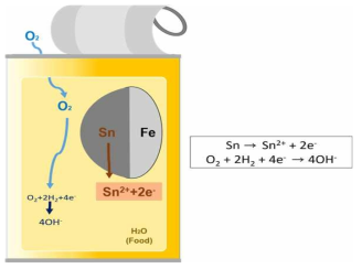 통조림 식품 내부에서의 주석 용출
