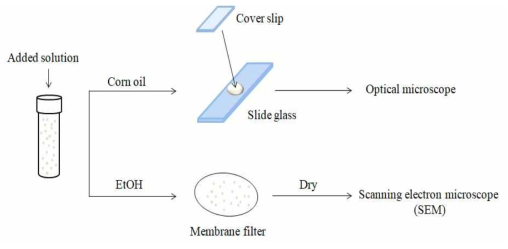 광학현미경 및 주사전자현미경을 이용한 미세플라스틱의 분석방법